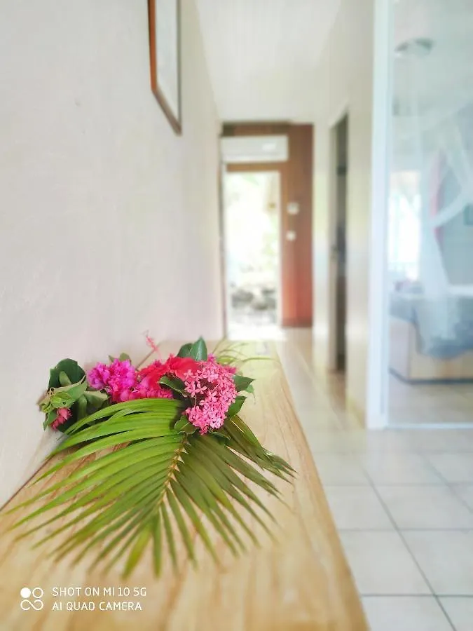 Hotel Le Manguier Morne Pavillon Martinique