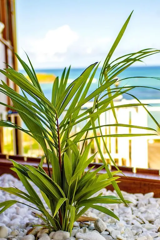 Hotel Le Manguier Morne Pavillon 2*,