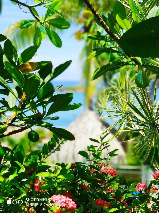 Morne Pavillon Hotel Le Manguier